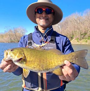Smallmouth Bass Fishing Shenandoah River