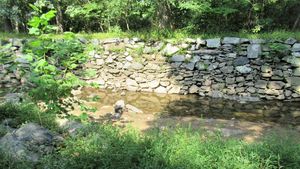 Things To Do in Potomac Aside From Fishing