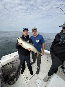 Solid Conditions and Good Action on the Water