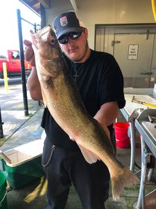 Big Fish Were Biting Today