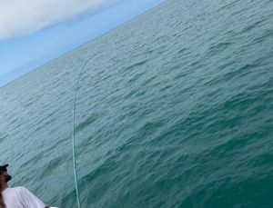 Inshore fishing Today