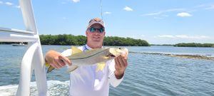 Snook fishing