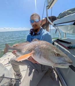 Redfish Bite Heating Up