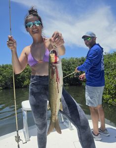 Rare Mullet Catch on Shrimp Bait