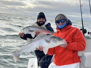 Prime Time for Spring Striper Action in Lacey Township