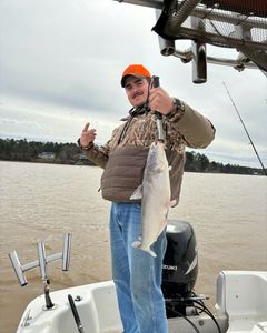 Lake wateree catfishing South Carolina 