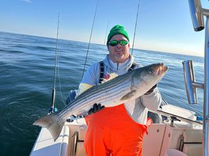 Strong Tog Bite with Bonus Striper Action