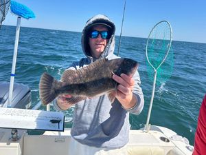 April tautog fishing trips available on select New Jersey charter dates