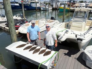 Reef Limit with Tuna and Flounder