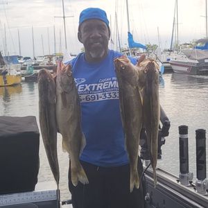 Best Lake Erie fishing, Ohio