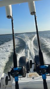 Good vibes, reggae beats, and big fish mornings in Carrabelle!