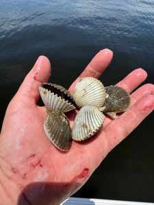 The bite is on in Carrabelle — reserve your fishing trip now!