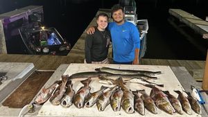 Louisiana Fishing License Guide: What Travelers Need to Know