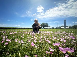Beyond the Boat: A Visitor’s Guide to Exploring Lafitte, LA