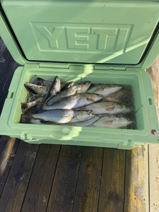 Slidell, LA Fishing Report