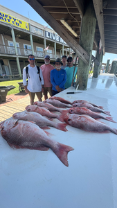 Gulf Shores Red Snapper Charter: Wreck Fishing Success Story
