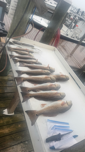Craig's Crew Lands Redfish on Gulf Shores Inshore Charter