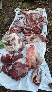 Easy Ground Elk Bolognese with Eggplant