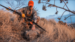 Predator Hunting In Scottsdale, AZ