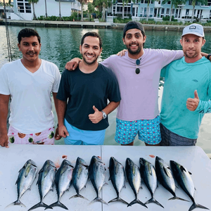 Miami Beach Fishing Charter Fish Haul