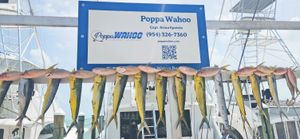 The Best Time Of Year To Fish In The Florida Keys