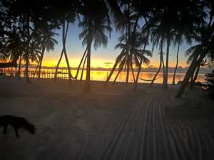 Things To Do In Islamorada