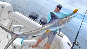 Sailfish Fishing in the Florida Keys