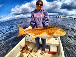 Redfish in Pensacola, FL