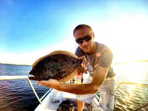Flounder in Pensacola, FL
