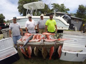 Red Snapper and Gag Grouper in Pensacola, FL