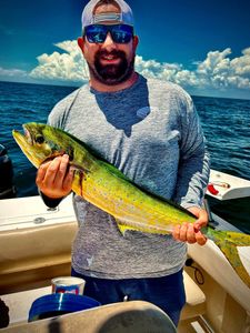 Common Dolphinfish Fishing In Florida