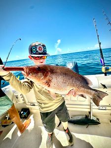 Rare mangrove snapper worth the share