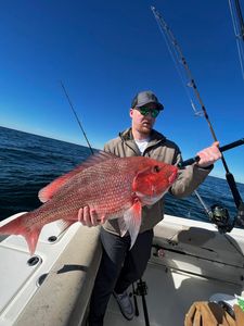 huge red snapper hooked in Pensacola, FL