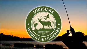 Louisiana Fishing License