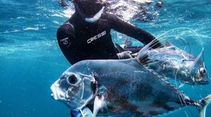 Spearfishing