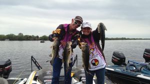 Proven Summer Bass Patterns & Strategies