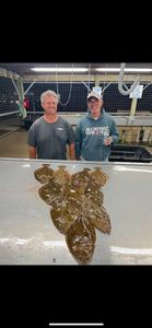Matagorda Flounder Gigging Trips Now Booking 🎣