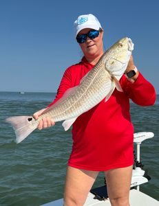Redfish in the flats have been on fire 