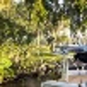 **Hernando Redfish Action: Bottom & Live Bait Success This Fall**