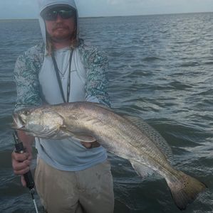 Early Release Success!