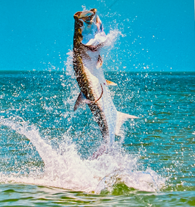 Thrill of the Flats: A Flats Fishing Adventure in the Florida Keys
