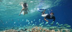 An Unforgettable Saltwater Adventure with Shark Sighting
