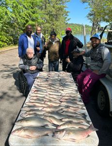 Lake South Carolina Fishing Charters
