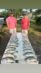 Crappie and Bass Fish