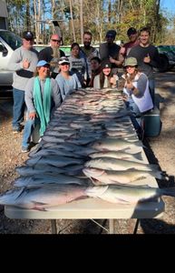Bass Fishing South Carolina