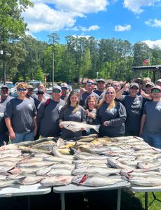 South Carolina Bass Fishing