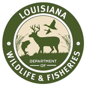 How To Acquire A Louisiana Fishing License