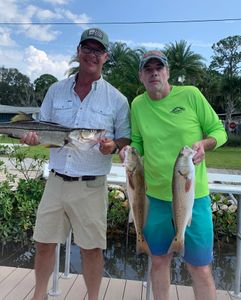 Florida Fishing BVL Style