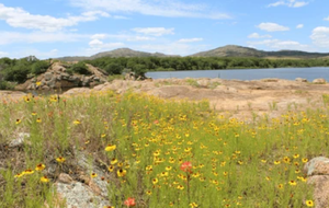 Get Your Valid Oklahoma Fishing License 