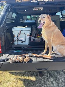 Guided Waterfowl Hunts in Carbon, TX